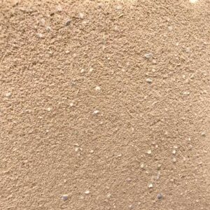 掻き落としの外壁の表情