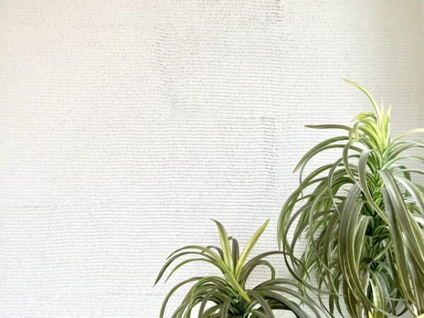 珪藻土の施工例イメージ