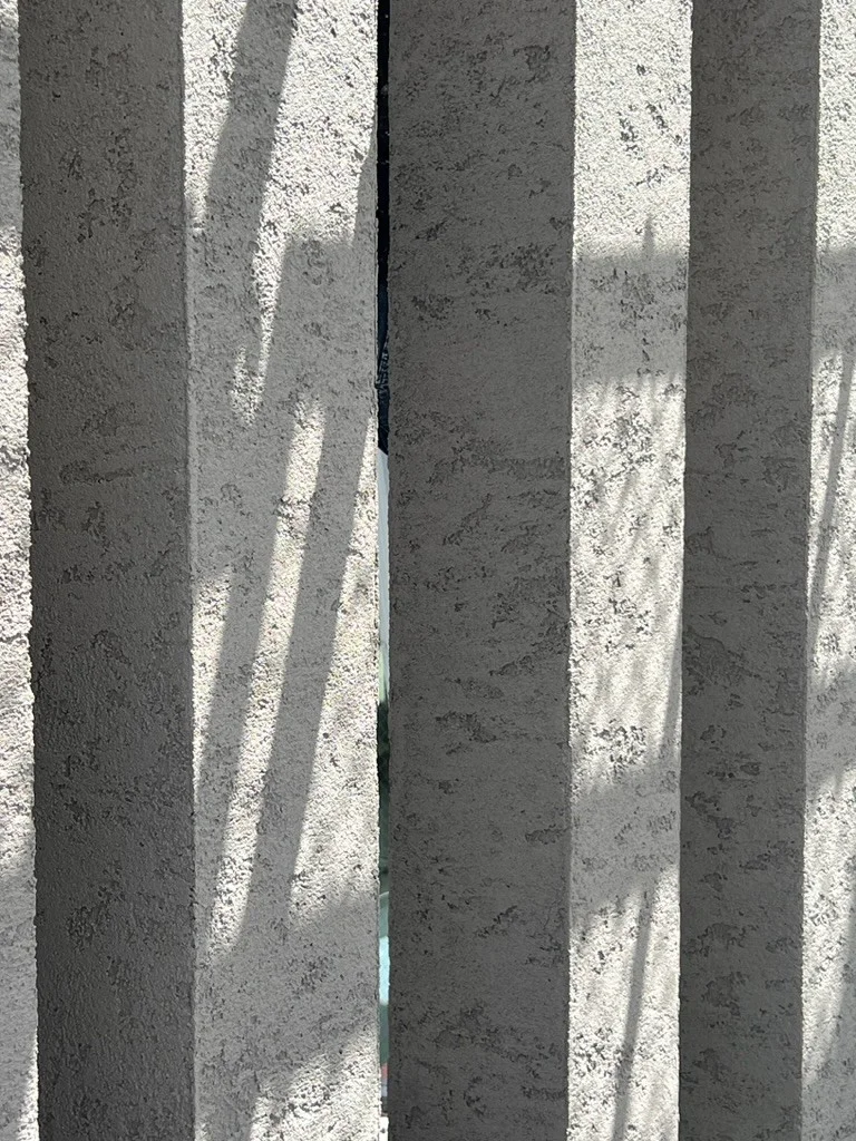 ジョリパットの相場を把握しよう