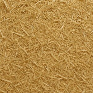 スサのイメージ