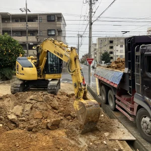 バックホーンの写真