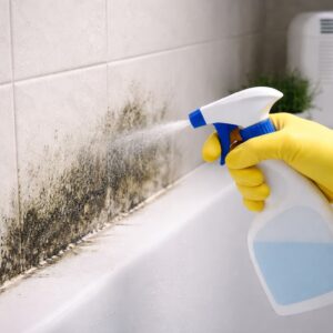 カビ対策のイメージ